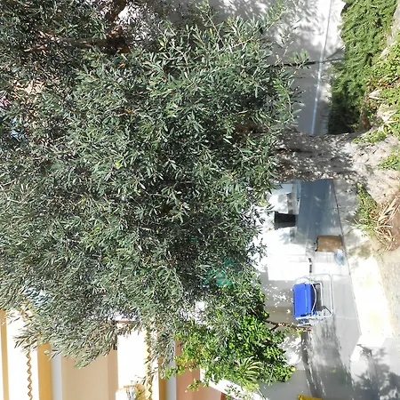 Apartment When The The Trip Becomes *
